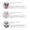 Costumi per gatti Maglione con cappuccio per gatti da compagnia Addensato caldo per l'inverno Sfinge Vestiti per gatti senza peli Gattino Vestiti per cani di piccola taglia 220908