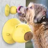 Jouets pour chiens à mâcher Pet Dog Toy Interactive Lick Balls Pet Dog Cat Puppy Chew Toys Ball Dents Chew Toys Dent Cleaning Balls Food 220908