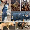 Collari per cani Imbracatura tattica e collare al guinzaglio Set Gilet da addestramento per animali domestici con molle per tutti i cani di taglia piccola, media e grande