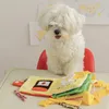 Brinquedos de cachorro Chews encontrando comida bote livros ranzininhos PET PET interativo Chew Squeaky Toy Cat Plush 220908
