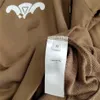 Tasarımcı Top Versiyon Hoodie El Yapımı Cel 2022 Sonbahar ve Kış Yeni Baskı Logosu Aynı Stil Kapşonlu Sweater