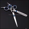 Nożyczki do włosów nożyczki do włosów Zqzq 6 -calowe cięcie narzędzie do przerzedzania Salon ze stali nierdzewnej Salon fryzjerski nożyce regar fl homeindustry dhkbp