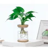 Imitação de flor hidropônica de flor hidropônica durável Plantando pequenas plantas verdes em vasos de resina de plantas verdes