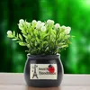 Interior Decorations Car Ornament Simulation Plant Auspicious Fruit Potted Center Console Decoration Products Auto Accessories