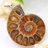 Lockets 2pcs /Lot Christmas 925sterling Sier Simple Design Restore طرق قديمة Ammonite Fossil Pendant for Lady Gift 31x41mm drop de dh9hp