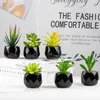 Fiori decorativi Piante succulente artificiali Mini simulazione finta con vasi neri