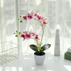 Dekorativa blommor 3D -tryckning Phalaenopsis Simulering Flower Bonsai Factory Direktförsörjning av konstgjorda växter för inredning