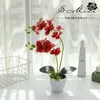 Декоративные цветы 3D -печать Phalaenopsis Simulation Flower Bonsai Factory Прямое снабжение искусственных растений для внутреннего украшения