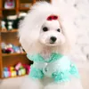 Abbigliamento per cani Carino a forma di cuore in plastica Pet Grooming Accessori per capelli 11 colori Occhiali Piccoli fermagli per gatti 3 tipi di metodo di vendita