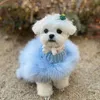 Vestuário de cachorro colorido puppy roupas designer roupas de cachorro pequenos gatos de cachorro suéter de luxo schnauzer yorkie poodle pêlo casaco 220909