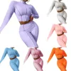 2022 herbst Frauen Pit Thread Trainingsanzüge 2 Stück Hosen Outfit Sexy Hohe Kragen Crop Top Hohe Taille Jogger Anzug