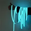 Strips El Car LED Strip Light für DIY -Anzeigen -Logo Flexible Neonlichter Glüh