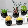 Fiori decorativi Piante succulente artificiali Mini simulazione finta con vasi neri