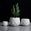 Yaratıcı Seramik Beyaz Geometrik Flowerpot Basit Etli Bitki Konteyner Yeşil Çiziciler Küçük Bonsai Saksılar Ev Dekorasyonu243U