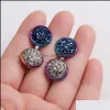 Stud Rainbow Color roestvrijstalen stud 8mm 10 mm 12 mm hars druzy drusy oorbellen handgemaakt voor vrouwelijke sieraden mannen drop levering 2021 dhs dhefp