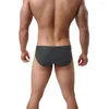 Mutande Marca Sexy Intimo Uomo Slip Maschile Sottile Traspirante Bikini a vita bassa Nylon Mutandine moda di alta qualità