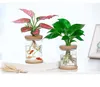 Imitação de flor hidropônica de flor hidropônica durável Plantando pequenas plantas verdes em vasos de resina de plantas verdes