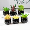 Fiori decorativi Piante succulente artificiali Mini simulazione finta con vasi neri