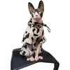 Cat Costumes Sphinx Cat Leisure Hoodie Spring Fashion Style Astric