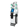 脂肪削減キャビテーションRFスリミングマシンCryo 360 Cryolipolysis Freezing Sculpting Beauty Equipment