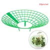 Garden Supplies Other 10PCS Strawberry Stand Frame Holder Balcony Planting Rack Fruit Support Plant Flower Climbing Vine Pillar Gardening