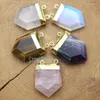 Pendant Necklaces PM12267 Double Hole Dog Tooth Amethyst Opal Tiger Eye Rose Quartz Clear Crystal Shield Shape Gold Plated Pendants