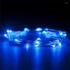 Strings 300cm 30 LED Copper Light Fairy Lights Holiday Party Decoration Portable Battery Box String With Gift
