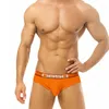 Sous-vêtements Gay hommes sous-vêtements Sexy sous-vêtements homme slips coton doux hommes Cuecas Masculinas culotte respirante Bikini BS3132