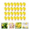 Dekoracja imprezowa 60pcs Easter Chicken Dekoracyjny komputer