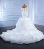 Meerjungfrau-Hochzeitskleid, arabisches Aso Ebi, Bandeau-Langarm-Sexy-Brautkleid SM67275