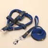 Pet Dog Training Leibele Harness Collars 4 kleuren 120cm honden riemen met harnas multi -kleuren duurzaam tractie touw