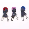 Pet Dog Training Leibele Harness Collars 4 kleuren 120cm honden riemen met harnas multi -kleuren duurzaam tractie touw