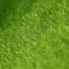 Flores decorativas miniaturas Artificial Grass gramado MAT DIY Micro paisagismo Ornamento Mini Fairy Garden Simulation Plants Decoração