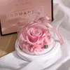 Flores decorativas feitas para sempre rosas reais em cúpula de vidro presentes de aniversário para o Dia dos Namorados Rosa Vermelha Preservada Presente Romântico Home