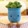 Simulatie Pot Succulente pluche speelgoedplant Dragon Baard Tree Children's Gift Fabric Bonsai Decoratieve pop cartoon Groothandel