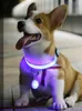 Ошейники для собак светящий воротник с лампой USB заряжая плюшевый золотой ретривер маленький средний и большой ходьба