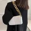 Avondtassen vrouwen mode schouder crossbody tas dikke ketting gewatteerde pu lederen klep kleine handtassen en portemonnees