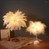 Lampy stołowe Kreatywna lampa piórkowa z zdalnym sterowaniem USB/ bateria zasilania Drzewo Lambada Nocna światło na urodziny
