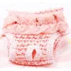 Dog Apparel Pet Physiological Pants Puppy Shorts Sanitary Brief Panties Washable Durable Doggy Diapers Underwear Short