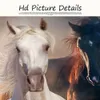 Canvas Painting Abstract 5 Horses Wall Art Posters And Prints Animal Wall Artwork Pictures For Living Room Home Decoration