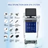 14 in 1 1個の多機能美容装置酸素Aqua Hydra Microdermabrasion Jet Peel Oxygen Spray Injector MicroCurrent Face Lift Deep Clean