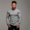 Mens Sweaters Muscleguys automne mode mince chandails hommes à manches longues pulls homme Oneck solide Slim Fit chandails haut tricot pull homme 220912