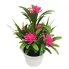 Fleurs décoratives 7,08 pouces plantes en pot artificielles avec 5 petits ornements de bureau de bureau de bonsaï de simulation de lotus décoration de la maison