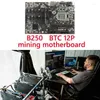 Motherboards B250 BTC Mining Motherboard Set With 12X009S PCIE 1X To 16X Riser Card 1XG3900 CPU 2X DDR4 RAM 12 GPU LGA1151 SATA3.0