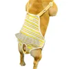 Vêtements pour chiens Lavables Couches pour animaux de compagnie réutilisables Bouledogue français Carlin Sous-vêtements Shorts Chiens femelles Pantalons physiologiques Produits pour animaux de compagnie Accessoires 20220912 E3