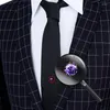 Brosches Hawson Mens Crystal Tie tack med kedje guldklippfesttillbehör för män 11 ​​färg valfritt264d1842213