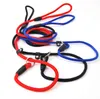 Pet Dog Nylon Adjustable Collars Training Loop Slip Leash Rope Lead Small Size Red Blue Black Color SN4154
