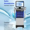 Équipement de beauté multifonctionnel 14 en 1 Oxygen Aqua Hydra Microdermabrasion Jet Peel Oxygen Spray Injector Microcurrent Face Lift Deep Clean