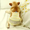 Vêtements pour chiens Lavables Couches pour animaux de compagnie réutilisables Bouledogue français Carlin Sous-vêtements Shorts Chiens femelles Pantalons physiologiques Produits pour animaux de compagnie Accessoires 20220912 E3