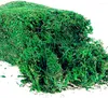 Dekorativa blommor Mountain Moss Torked Natural 100g Dry Simulation Plants Micro Landscape Decoration